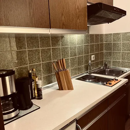Mit Toller Dachterrasse & Bademantelgang Zur Wohlfuehltherme Im Neuen Stil Apartment *